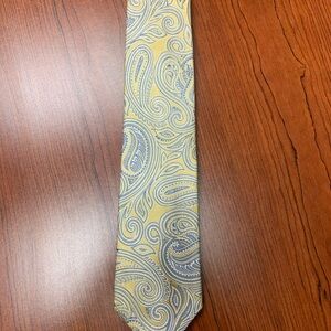 Sophisticated Paisley Tie in Gold and Blue
